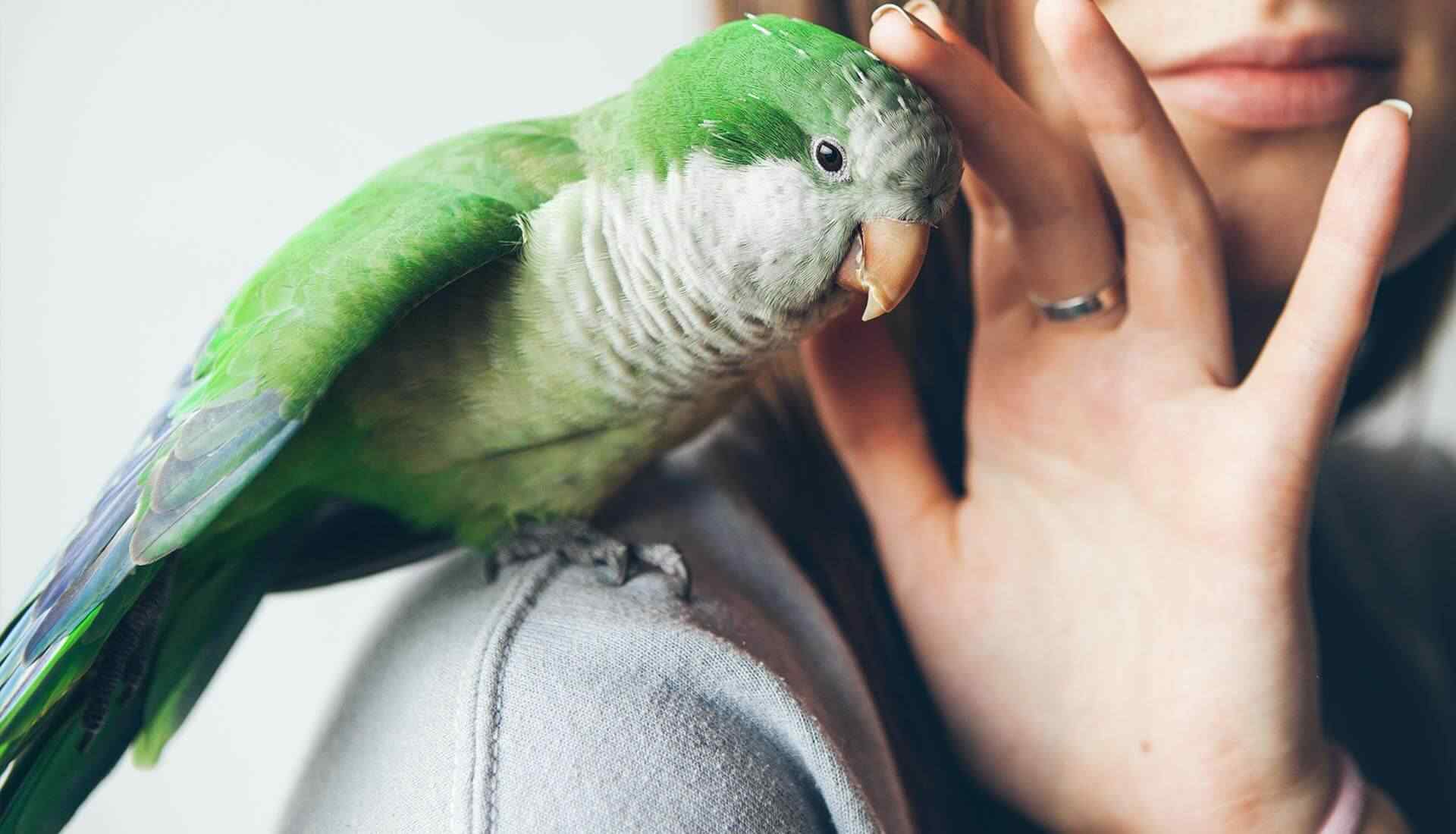 https://eastlamar.com/wp-content/uploads/2018/09/featured_image-4.jpg